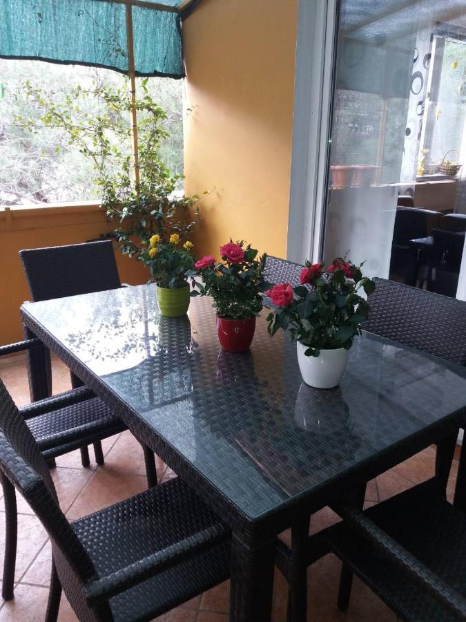 Apartman Lucica Zadar Eksteriør bilde